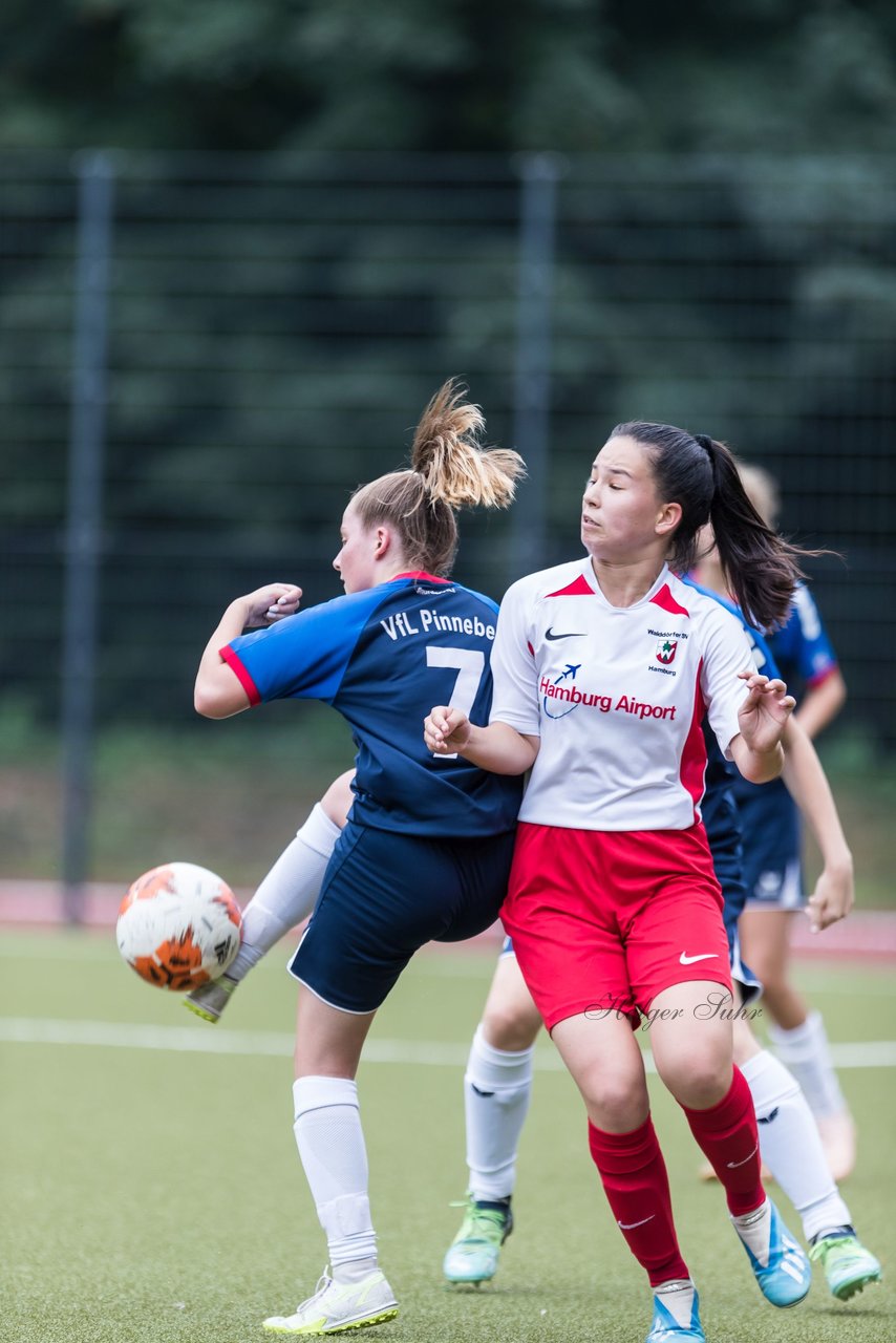 Bild 178 - wBJ Walddoerfer - VfL Pinneberg : Ergebnis: 3:3